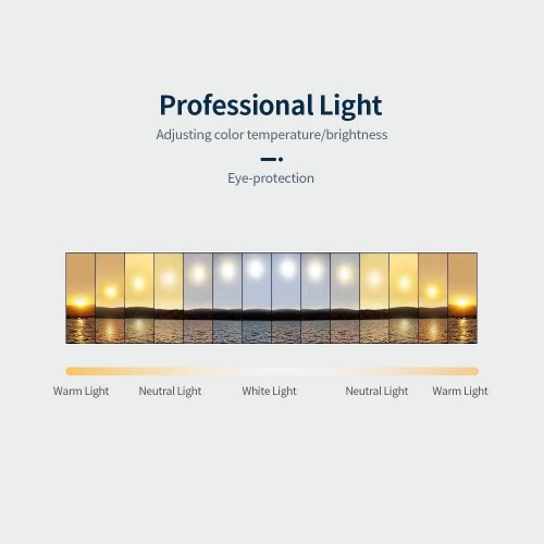 Tripod ile 8 inç LED Masaüstü Video Halka Işık Selfie Lambası Tripod ile 8 inç LED Masaüstü Video Halka Işık Selfie Lambası