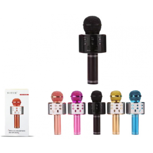 PL-2463 BLUETOOTH KARAOKE MİKROFON