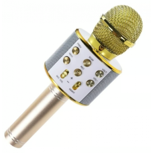 PL-2463 BLUETOOTH KARAOKE MİKROFON