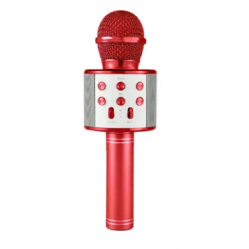 PL-2463 BLUETOOTH KARAOKE MİKROFON
